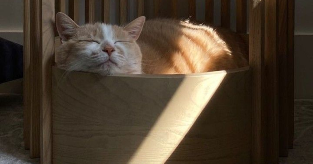 Espacio para mascotas