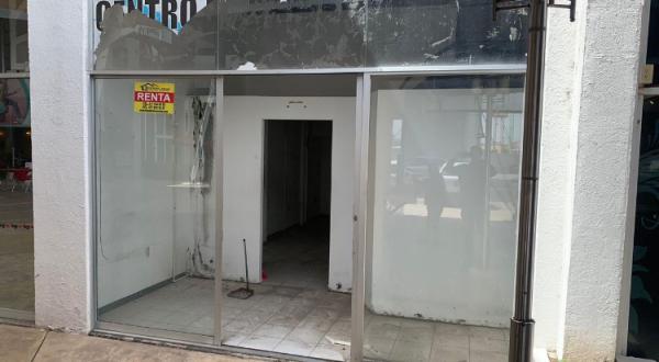 Local comercial en renta zona sur 
